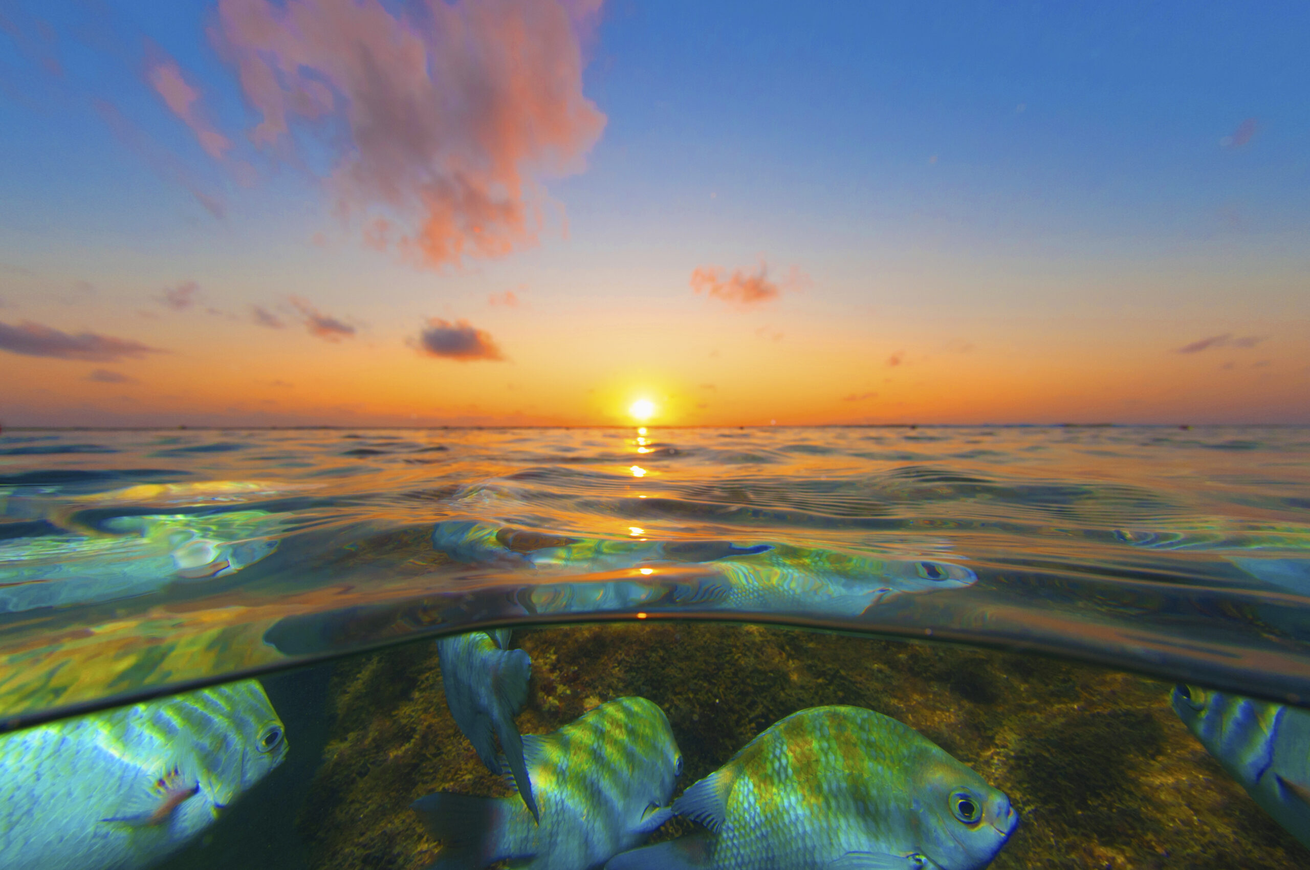 Nordeste brasileiro é um dos destinos mais procurados para festas de fim de ano, aponta levantamento