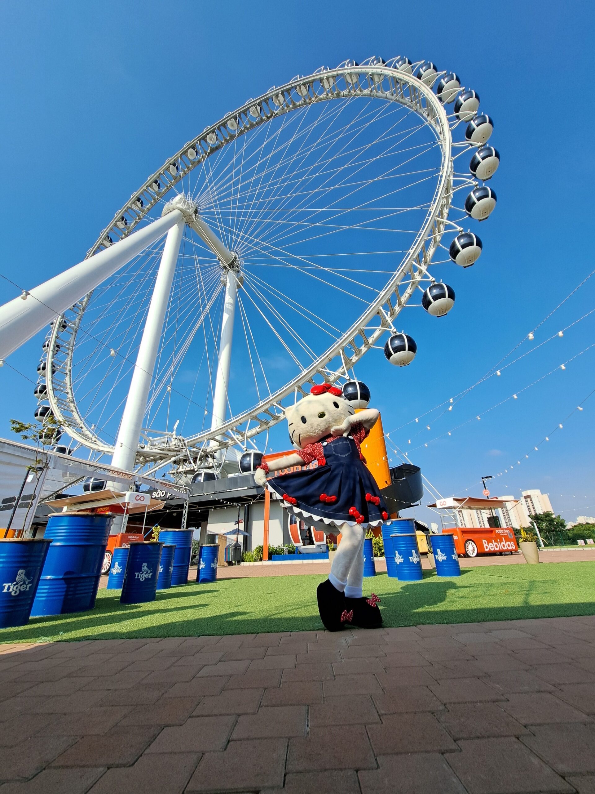 Atividades gratuitas inspiradas na Hello Kitty acontecem na Roda Rico em novembro