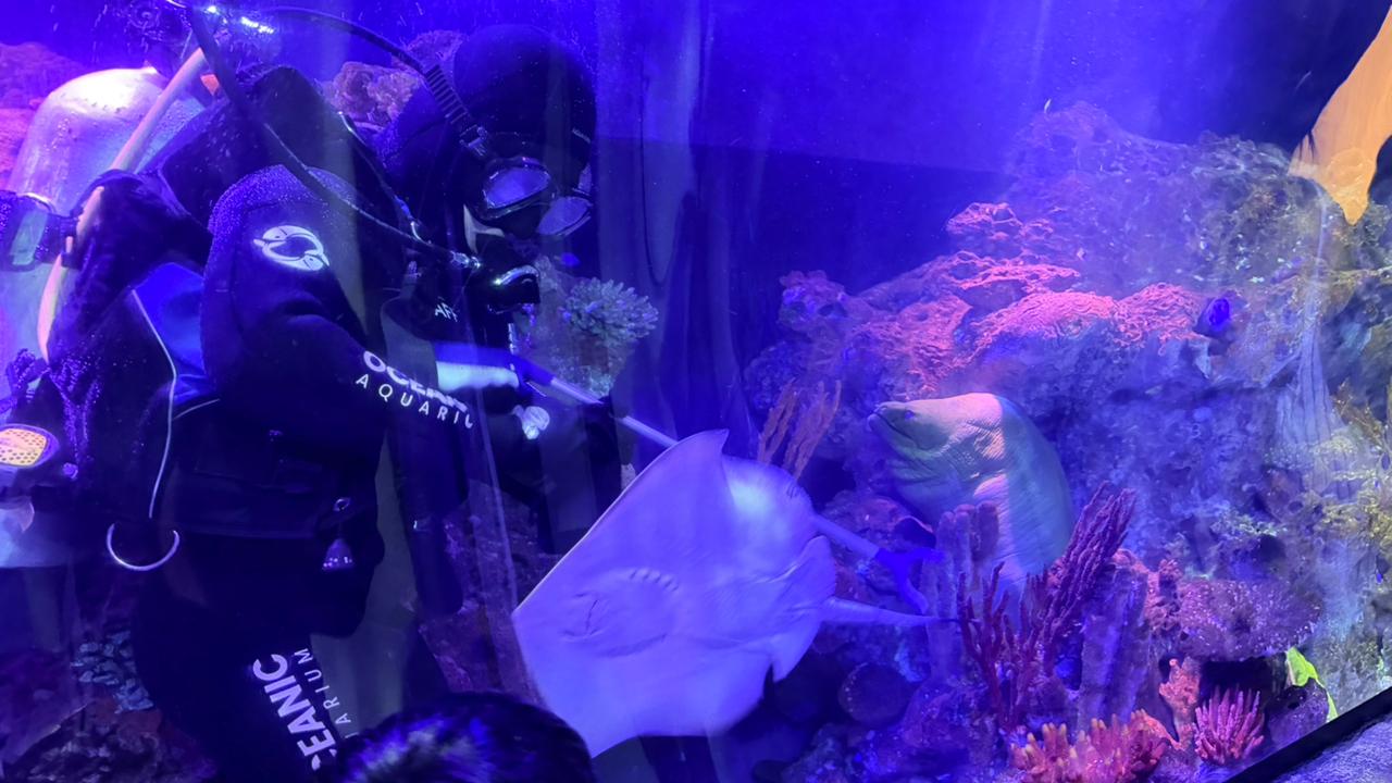 Fujitsu investe em capacitação feminina e incentiva presença de mulheres no setor de climatização